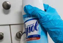 can-lysol-kill-a-roach?-here’s-what-you-should-know