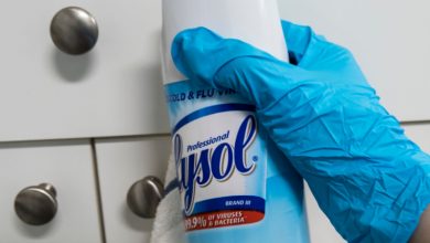 can-lysol-kill-a-roach?-here’s-what-you-should-know